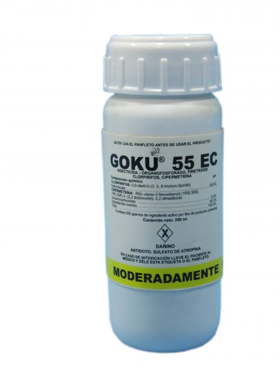 GOKU 55 EC